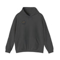 Beach Town Hoodie — Sandbar Standards Graphic Pullover